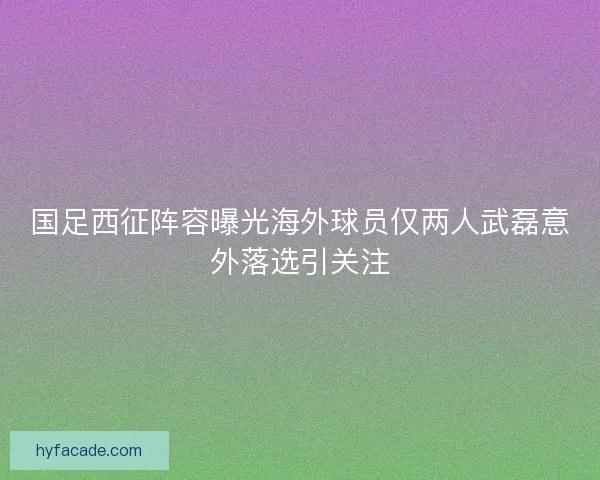 国足西征阵容曝光海外球员仅两人武磊意外落选引关注 国足西征阵容曝光海外球员仅两人武磊意外落选引关注